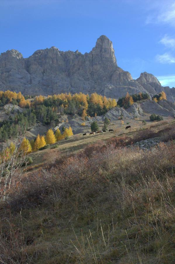 Chez Annie & Marcel Bed & Breakfast Le Monetier-les-Bains ภายนอก รูปภาพ